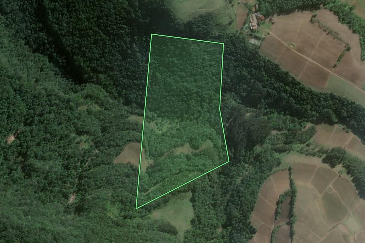 Imagem de satélite do imóvel rural em Agudo (RS), com o contorno declarado no CAR desenhado por cima.