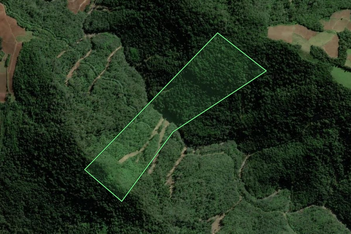 Imagem de satélite do imóvel rural em Agudo (RS), com o contorno declarado no CAR desenhado por cima.