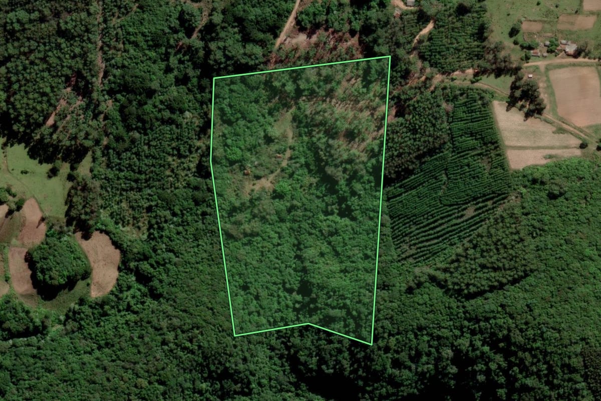Imagem de satélite do imóvel rural em Agudo (RS), com o contorno declarado no CAR desenhado por cima.