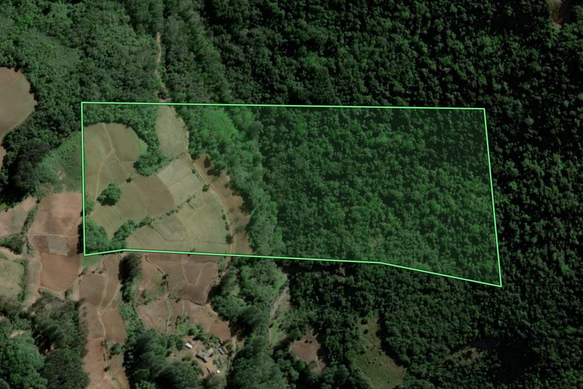 Imagem de satélite do imóvel rural em Agudo (RS), com o contorno declarado no CAR desenhado por cima.
