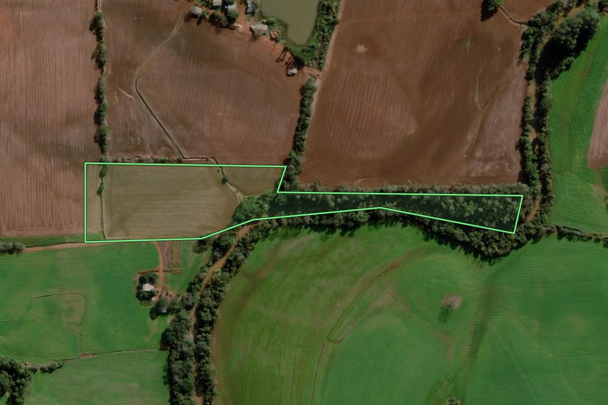 Imagem de satélite do imóvel rural em Ajuricaba (RS), com o contorno declarado no CAR desenhado por cima.
