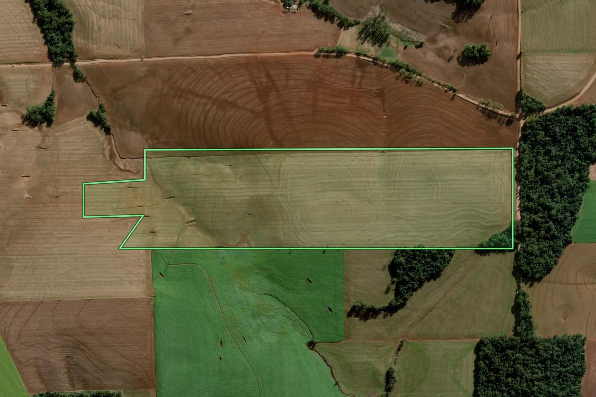Imagem de satélite do imóvel rural em Ajuricaba (RS), com o contorno declarado no CAR desenhado por cima.