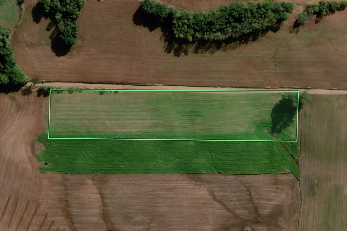 Imagem de satélite do imóvel rural em Ajuricaba (RS), com o contorno declarado no CAR desenhado por cima.