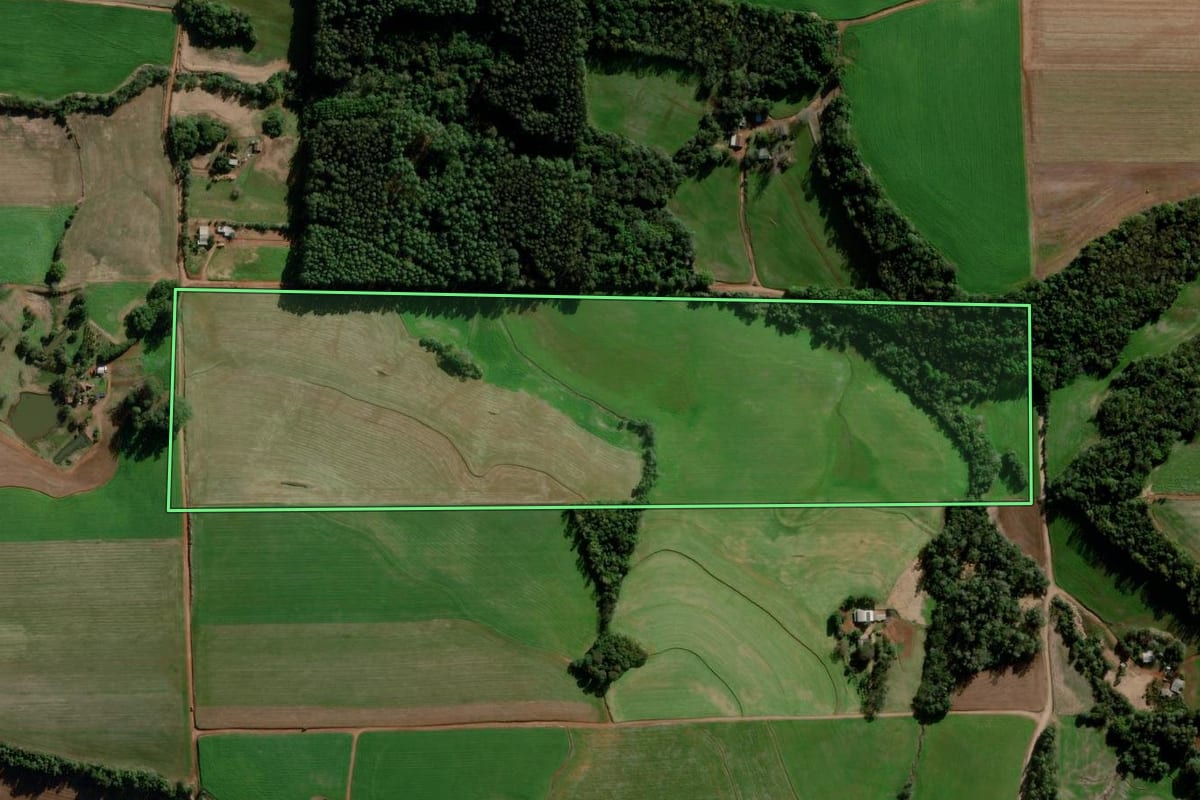 Imagem de satélite do imóvel rural em Ajuricaba (RS), com o contorno declarado no CAR desenhado por cima.
