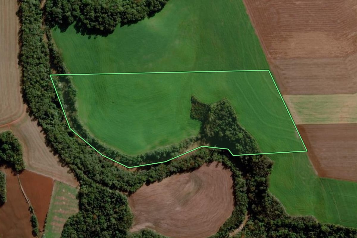 Imagem de satélite do imóvel rural em Ajuricaba (RS), com o contorno declarado no CAR desenhado por cima.