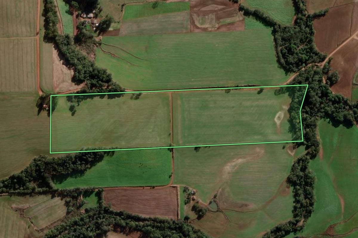Imagem de satélite do imóvel rural em Ajuricaba (RS), com o contorno declarado no CAR desenhado por cima.