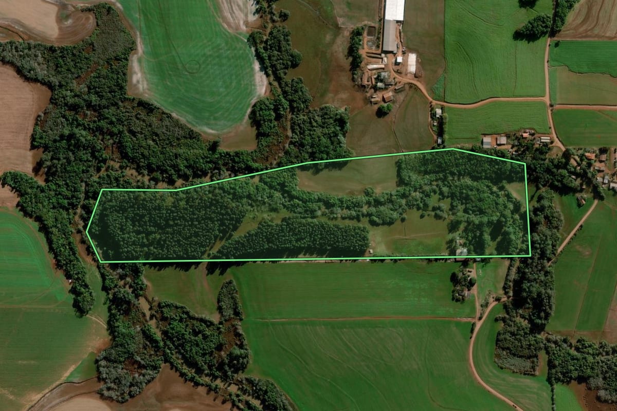 Imagem de satélite do imóvel rural em Ajuricaba (RS), com o contorno declarado no CAR desenhado por cima.
