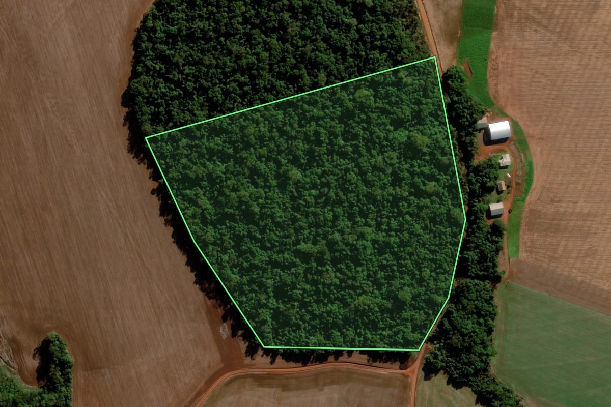 Imagem de satélite do imóvel rural em Ajuricaba (RS), com o contorno declarado no CAR desenhado por cima.