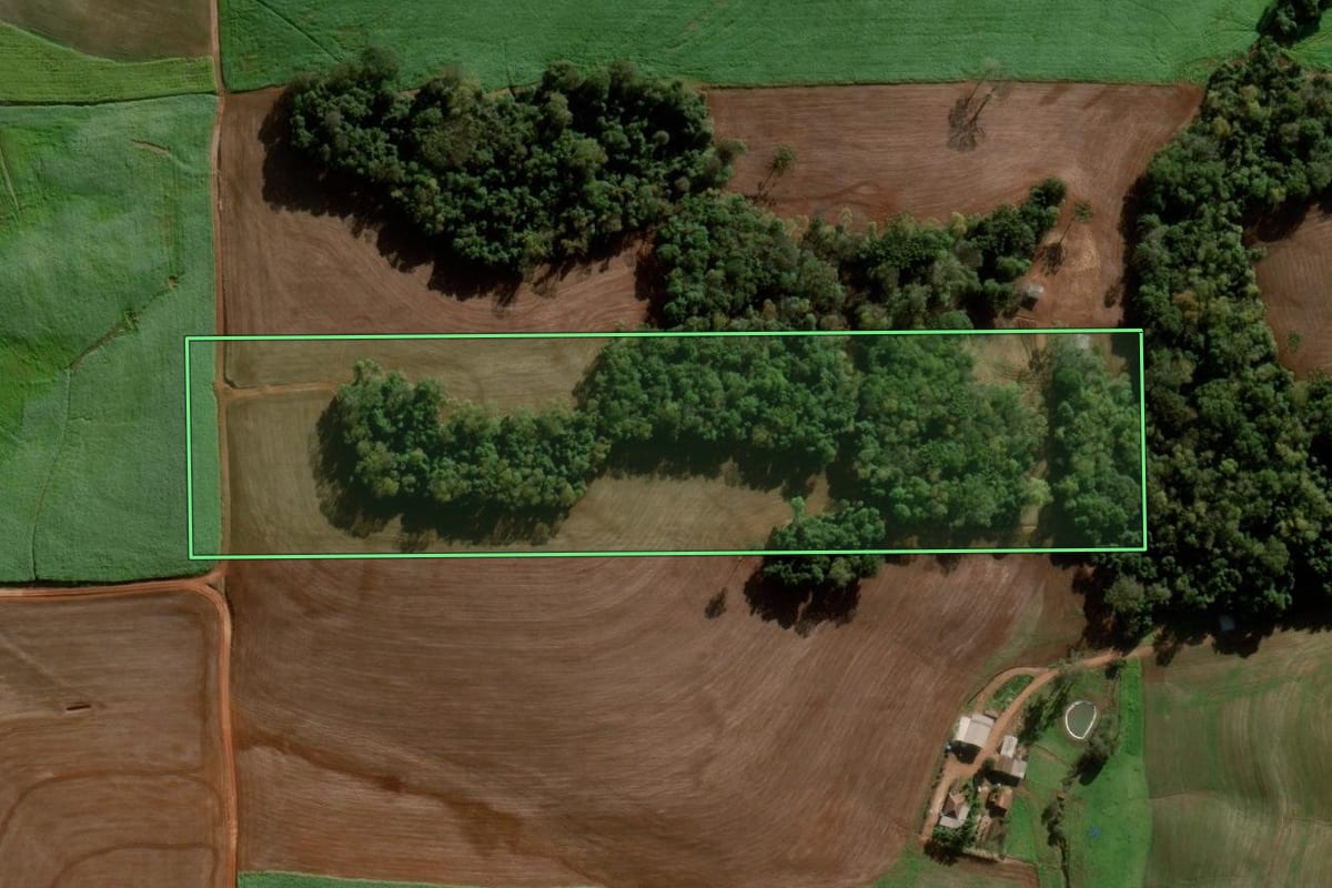 Imagem de satélite do imóvel rural em Ajuricaba (RS), com o contorno declarado no CAR desenhado por cima.