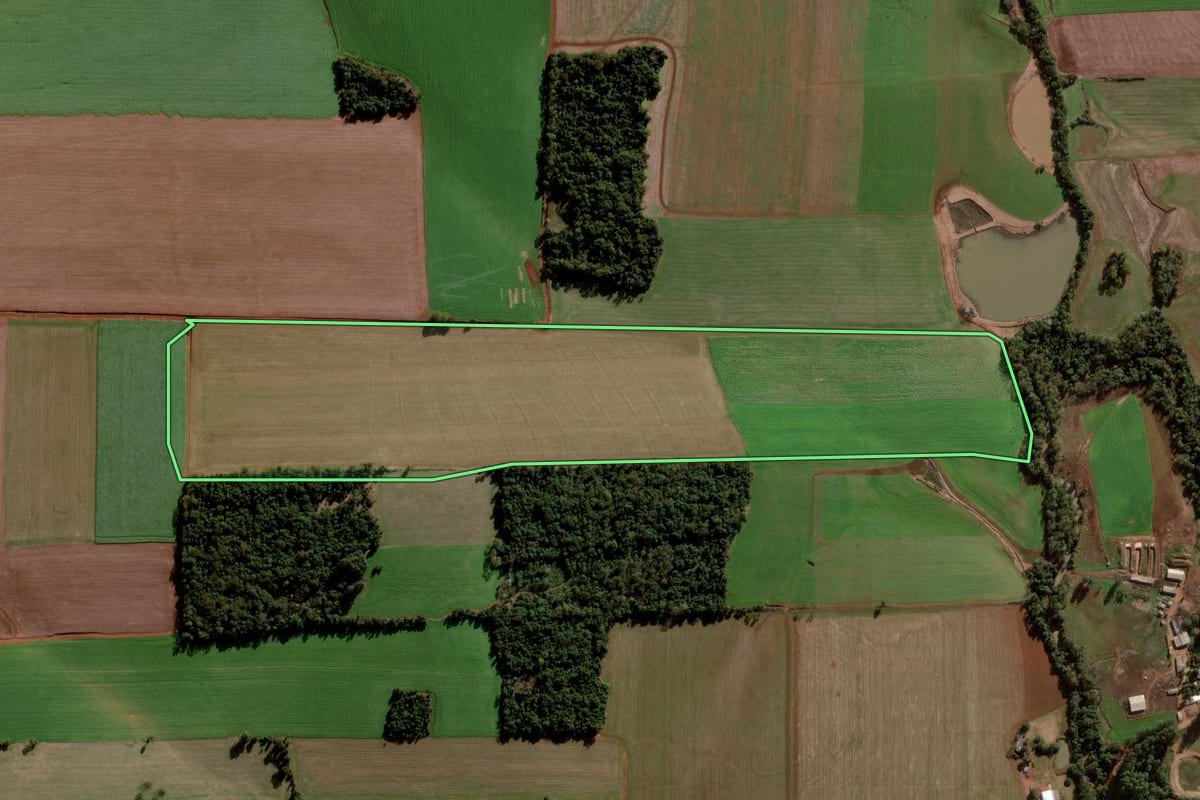 Imagem de satélite do imóvel rural em Ajuricaba (RS), com o contorno declarado no CAR desenhado por cima.