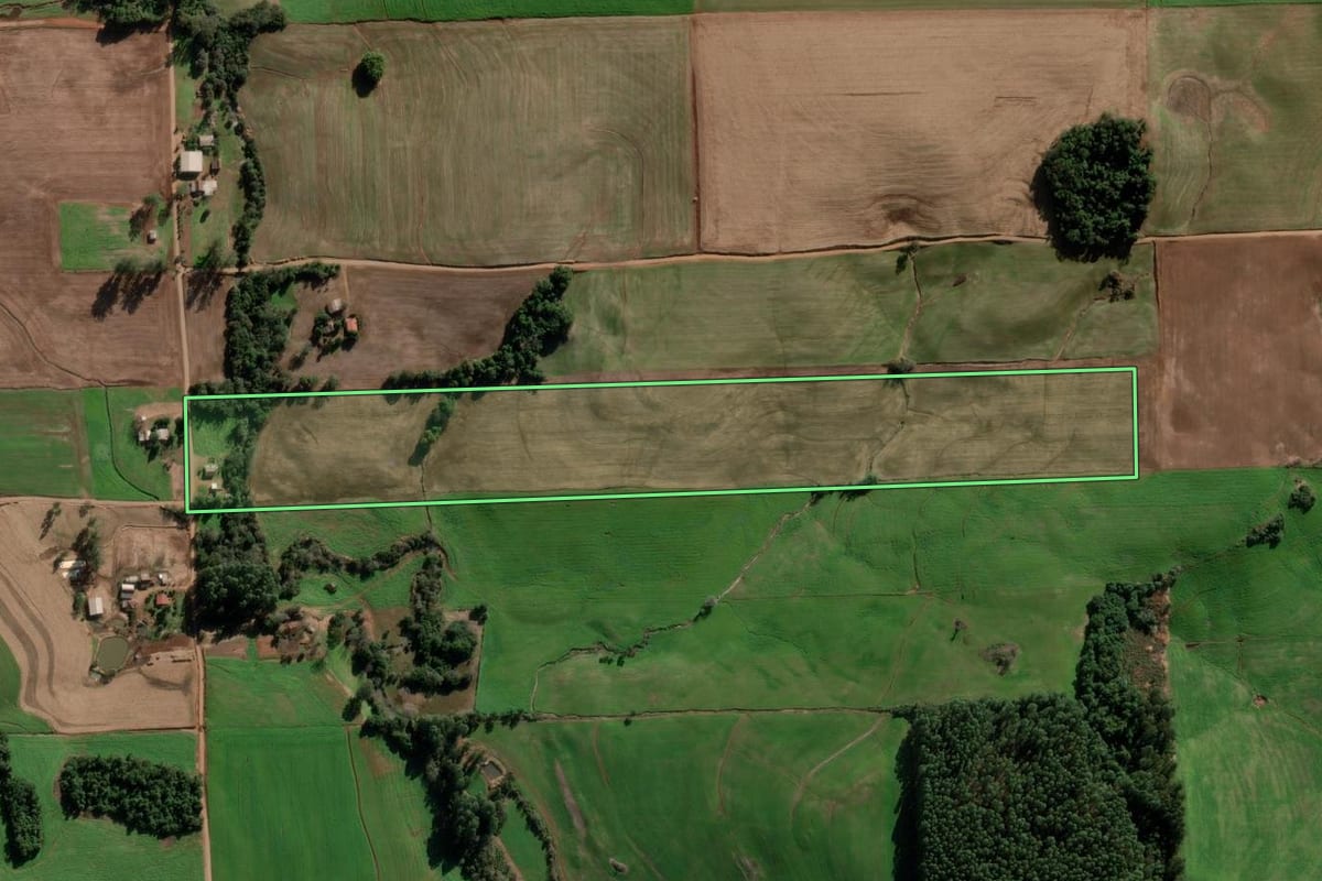 Imagem de satélite do imóvel rural em Ajuricaba (RS), com o contorno declarado no CAR desenhado por cima.