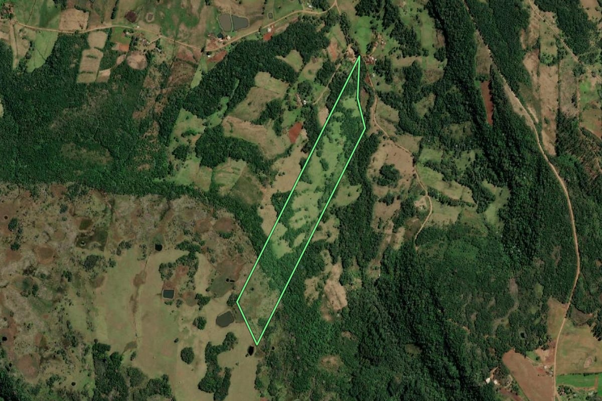 Imagem de satélite do imóvel rural em Alecrim (RS), com o contorno declarado no CAR desenhado por cima.