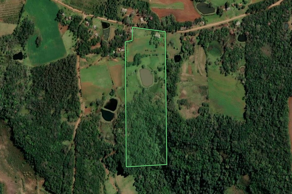 Imagem de satélite do imóvel rural em Alecrim (RS), com o contorno declarado no CAR desenhado por cima.