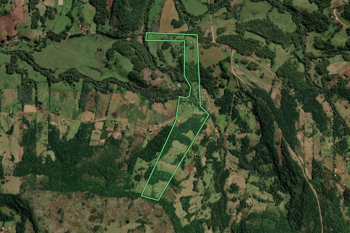 Imagem de satélite do imóvel rural em Alecrim (RS), com o contorno declarado no CAR desenhado por cima.