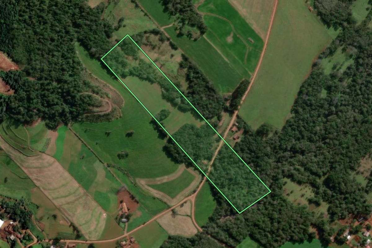 Imagem de satélite do imóvel rural em Alecrim (RS), com o contorno declarado no CAR desenhado por cima.