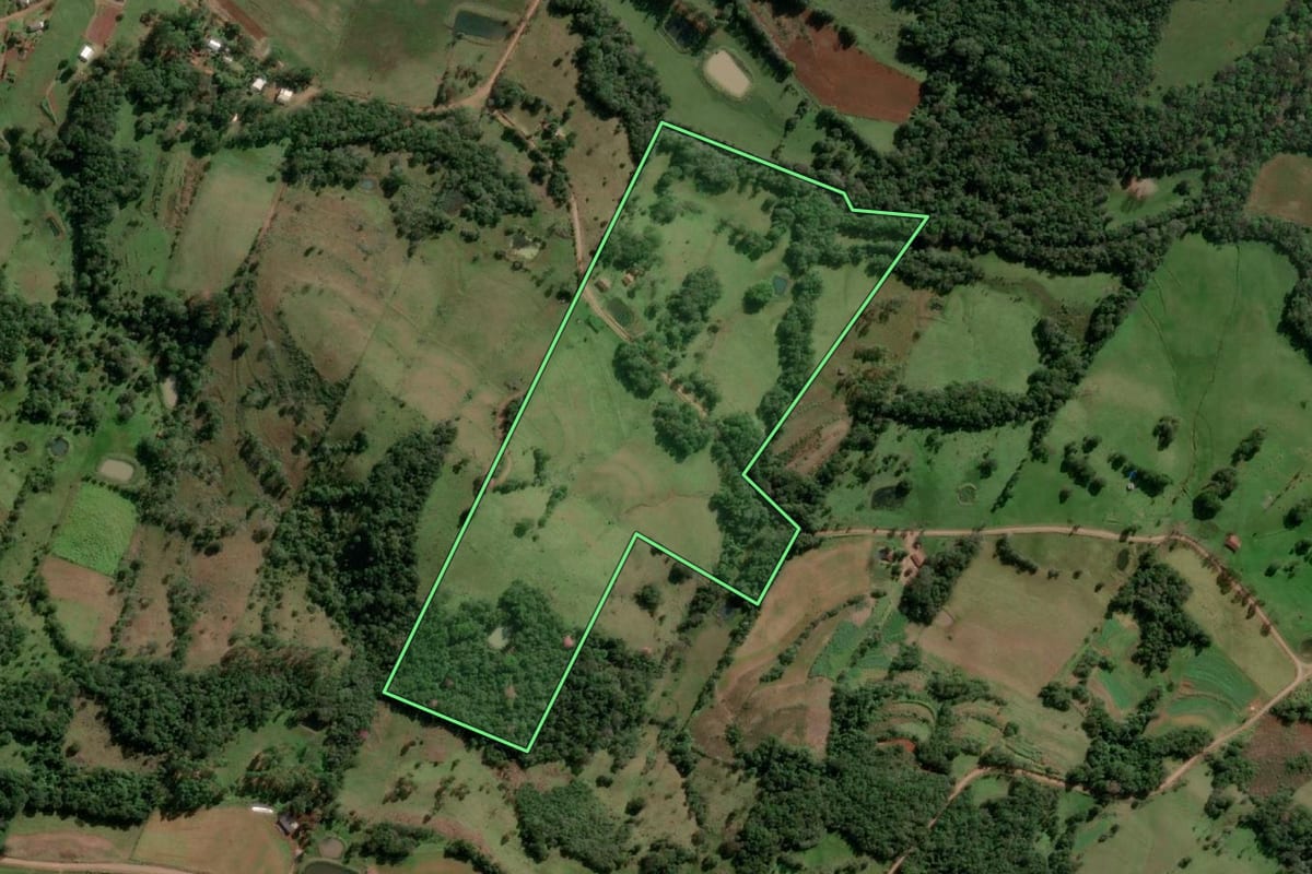 Imagem de satélite do imóvel rural em Alecrim (RS), com o contorno declarado no CAR desenhado por cima.