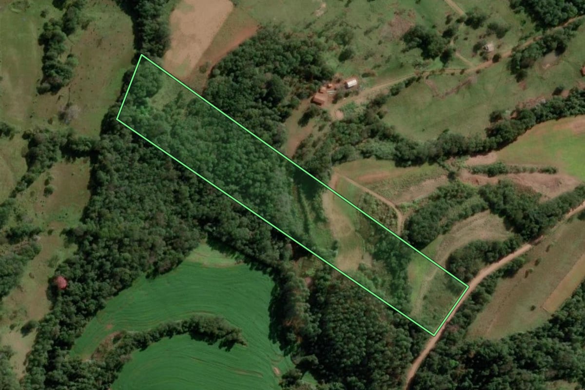 Imagem de satélite do imóvel rural em Alecrim (RS), com o contorno declarado no CAR desenhado por cima.