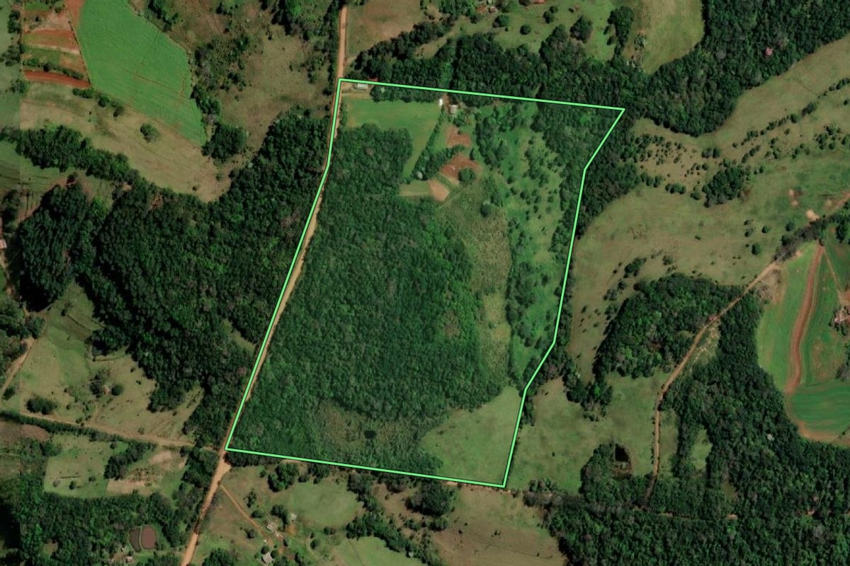 Imagem de satélite do imóvel rural em Alecrim (RS), com o contorno declarado no CAR desenhado por cima.