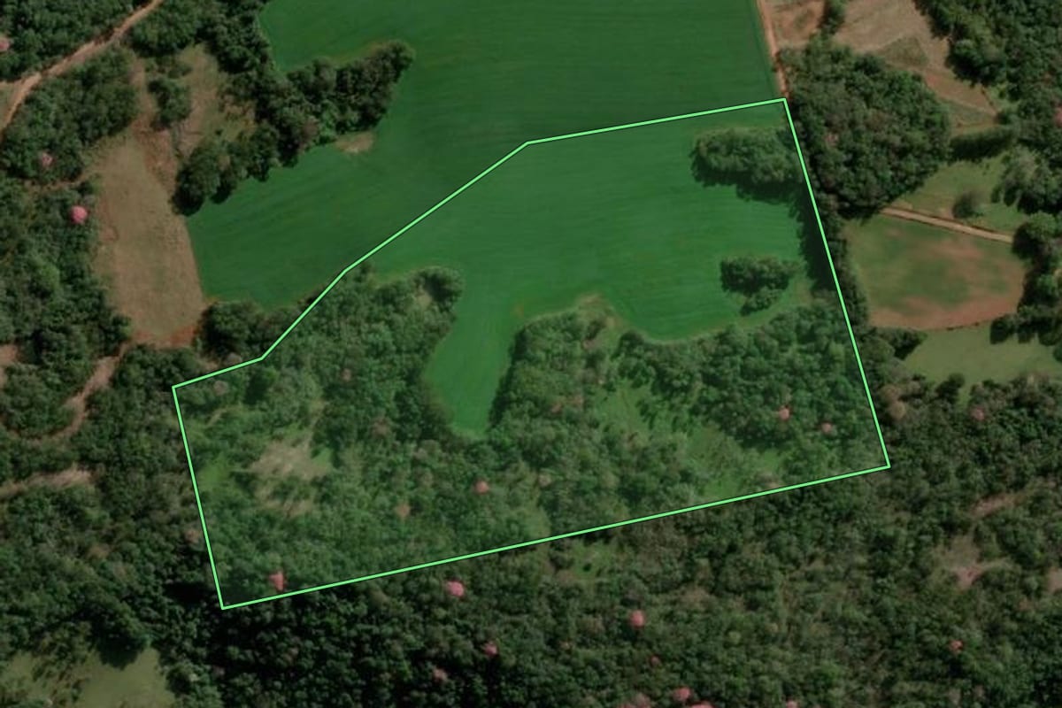 Imagem de satélite do imóvel rural em Alecrim (RS), com o contorno declarado no CAR desenhado por cima.