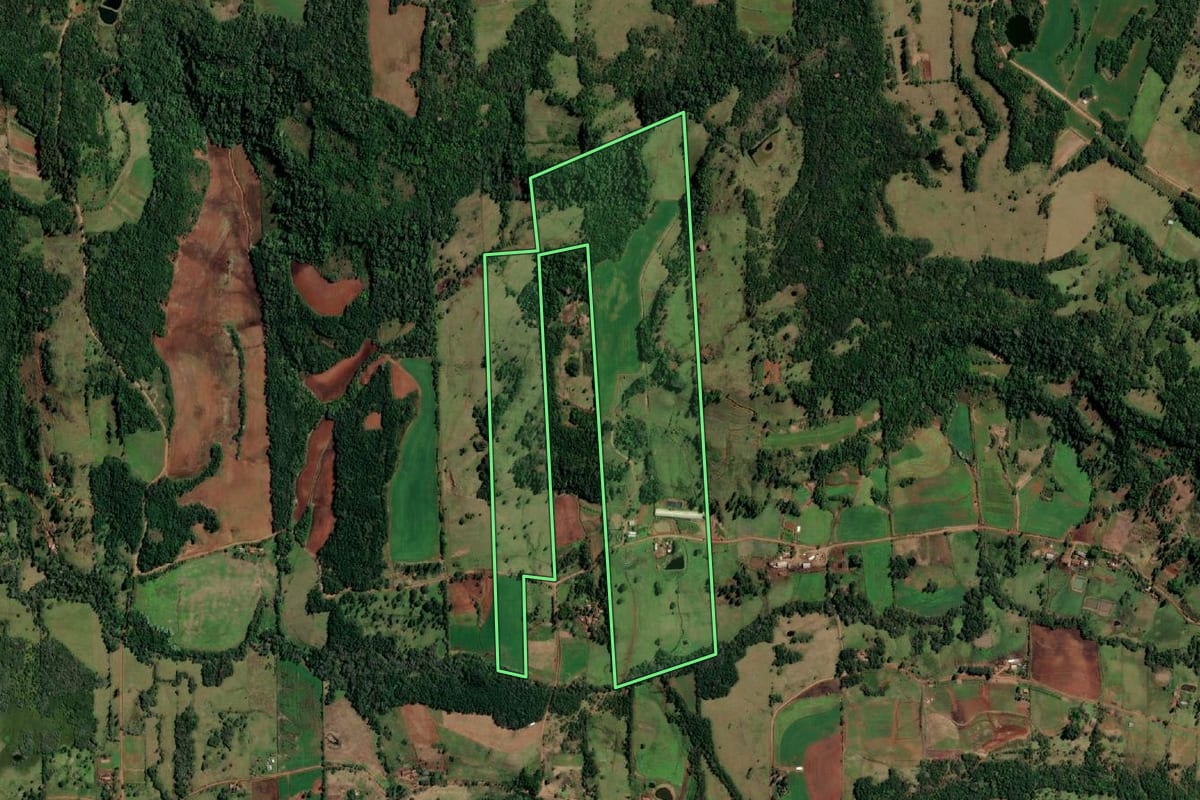 Imagem de satélite do imóvel rural em Alecrim (RS), com o contorno declarado no CAR desenhado por cima.