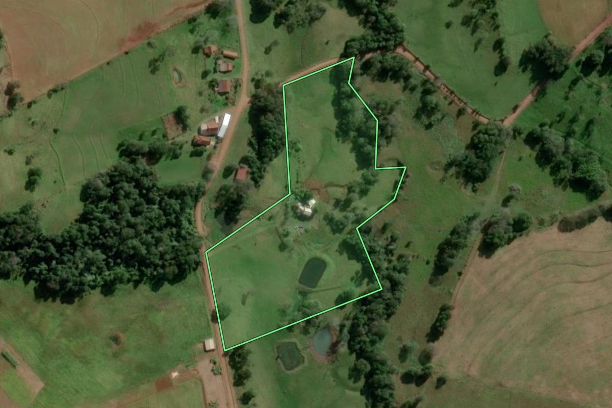 Imagem de satélite do imóvel rural em Alecrim (RS), com o contorno declarado no CAR desenhado por cima.