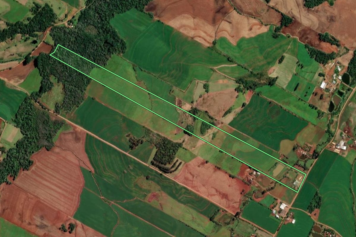 Imagem de satélite do imóvel rural em Alecrim (RS), com o contorno declarado no CAR desenhado por cima.