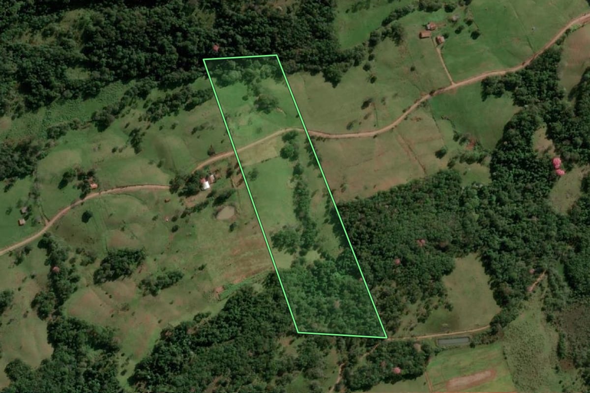 Imagem de satélite do imóvel rural em Alecrim (RS), com o contorno declarado no CAR desenhado por cima.