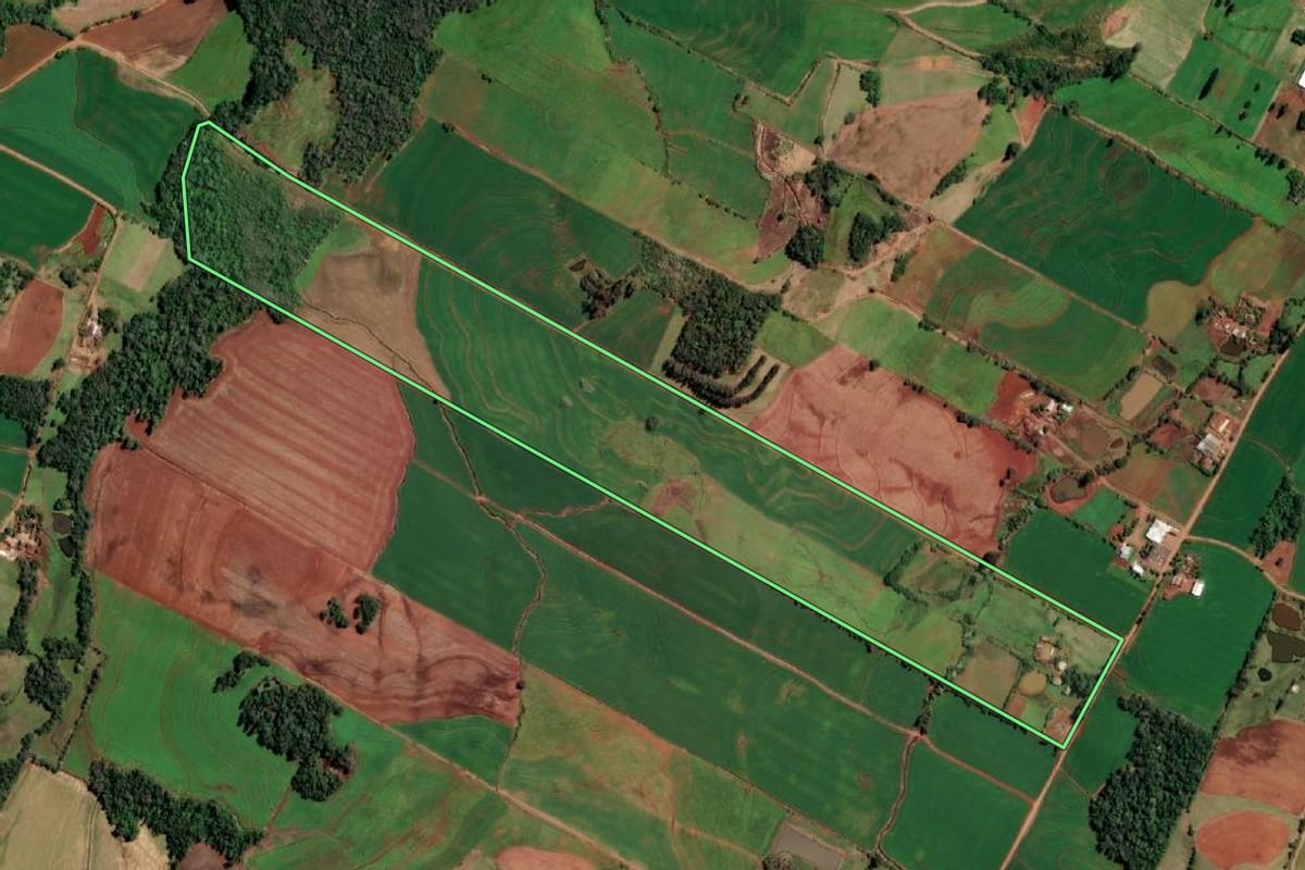 Imagem de satélite do imóvel rural em Alecrim (RS), com o contorno declarado no CAR desenhado por cima.