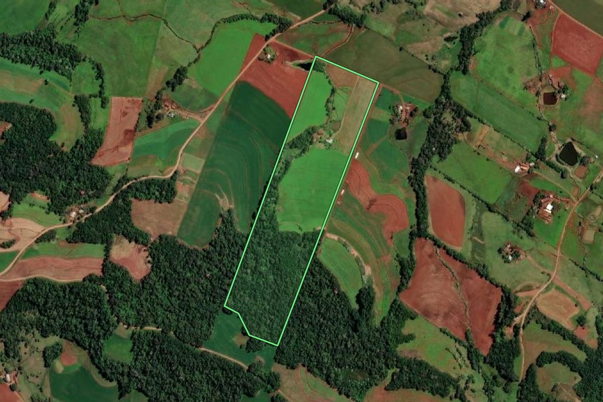 Imagem de satélite do imóvel rural em Alecrim (RS), com o contorno declarado no CAR desenhado por cima.