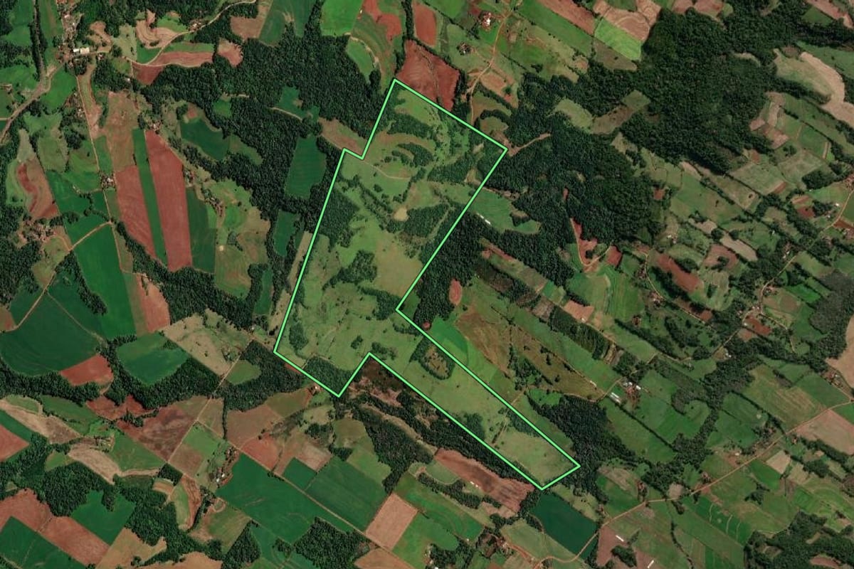 Imagem de satélite do imóvel rural em Alecrim (RS), com o contorno declarado no CAR desenhado por cima.