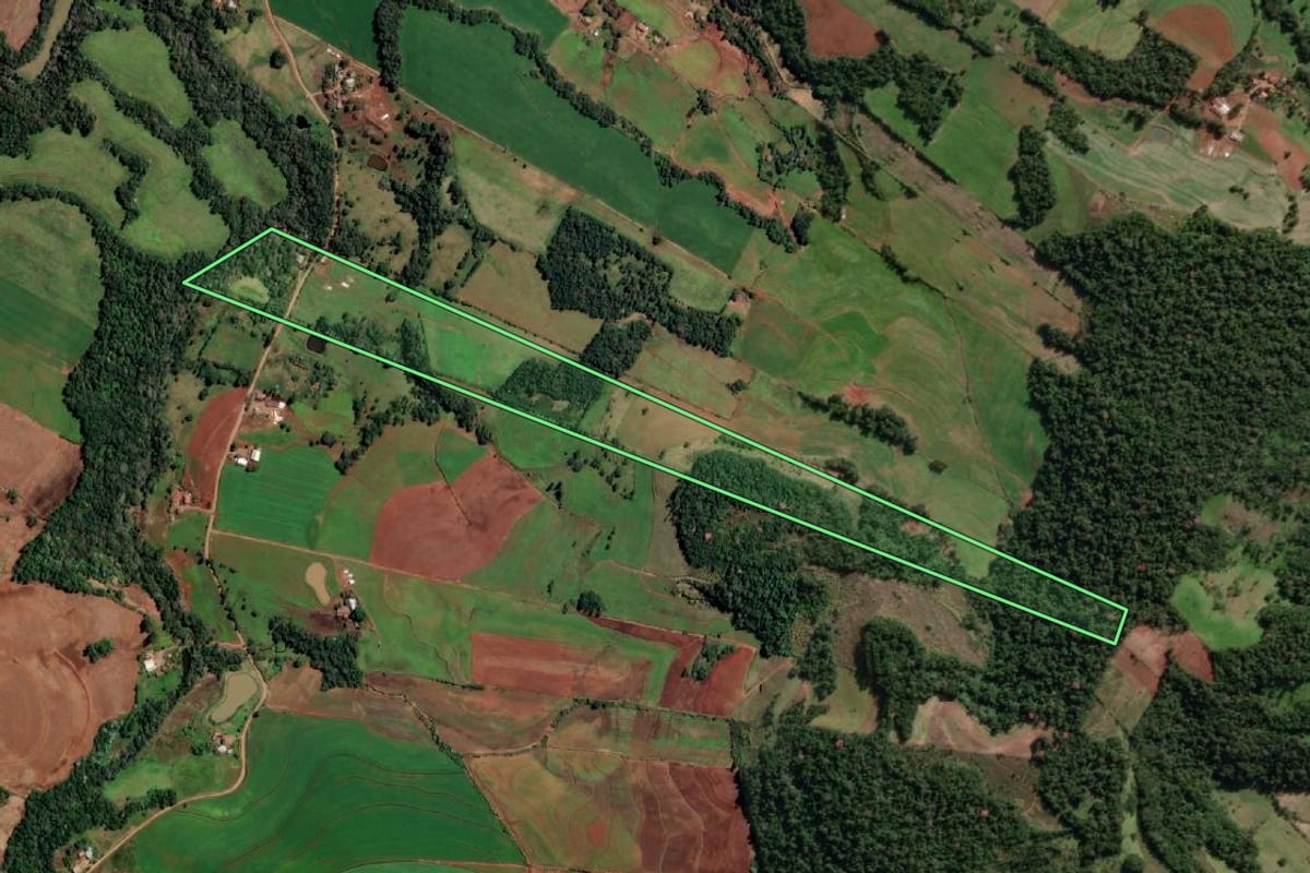 Imagem de satélite do imóvel rural em Alecrim (RS), com o contorno declarado no CAR desenhado por cima.
