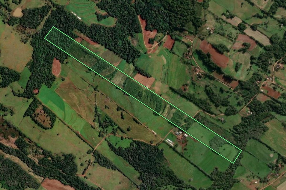 Imagem de satélite do imóvel rural em Alecrim (RS), com o contorno declarado no CAR desenhado por cima.