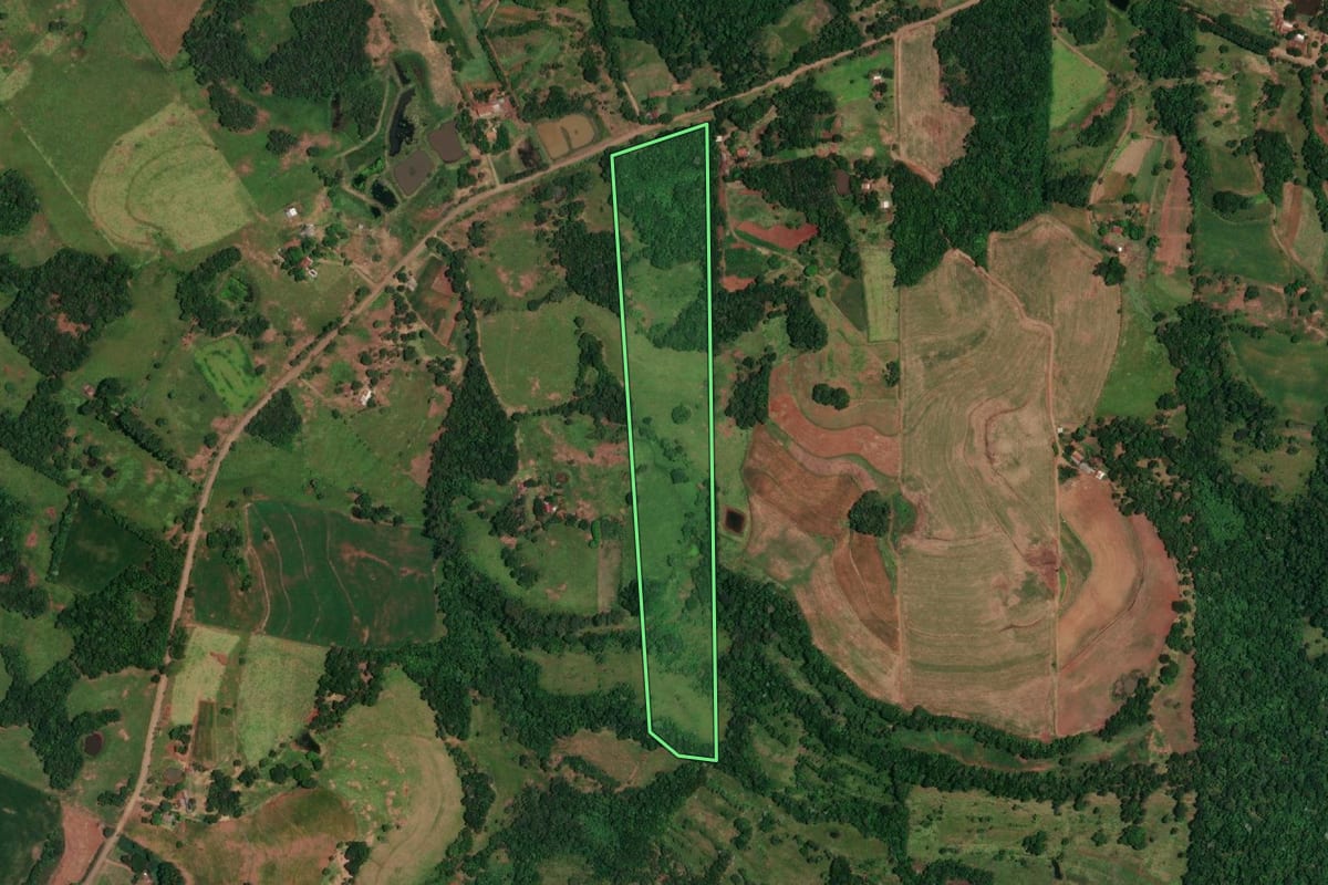 Imagem de satélite do imóvel rural em Alecrim (RS), com o contorno declarado no CAR desenhado por cima.