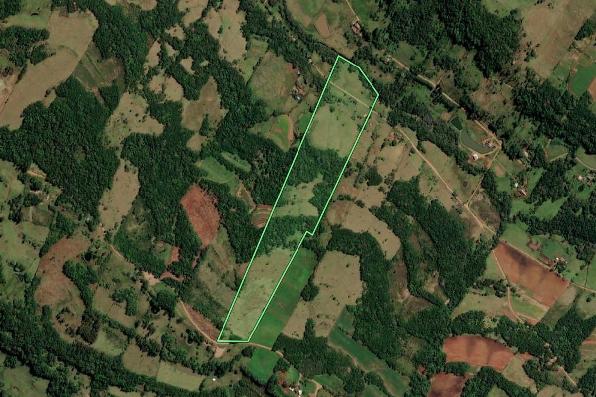 Imagem de satélite do imóvel rural em Alecrim (RS), com o contorno declarado no CAR desenhado por cima.