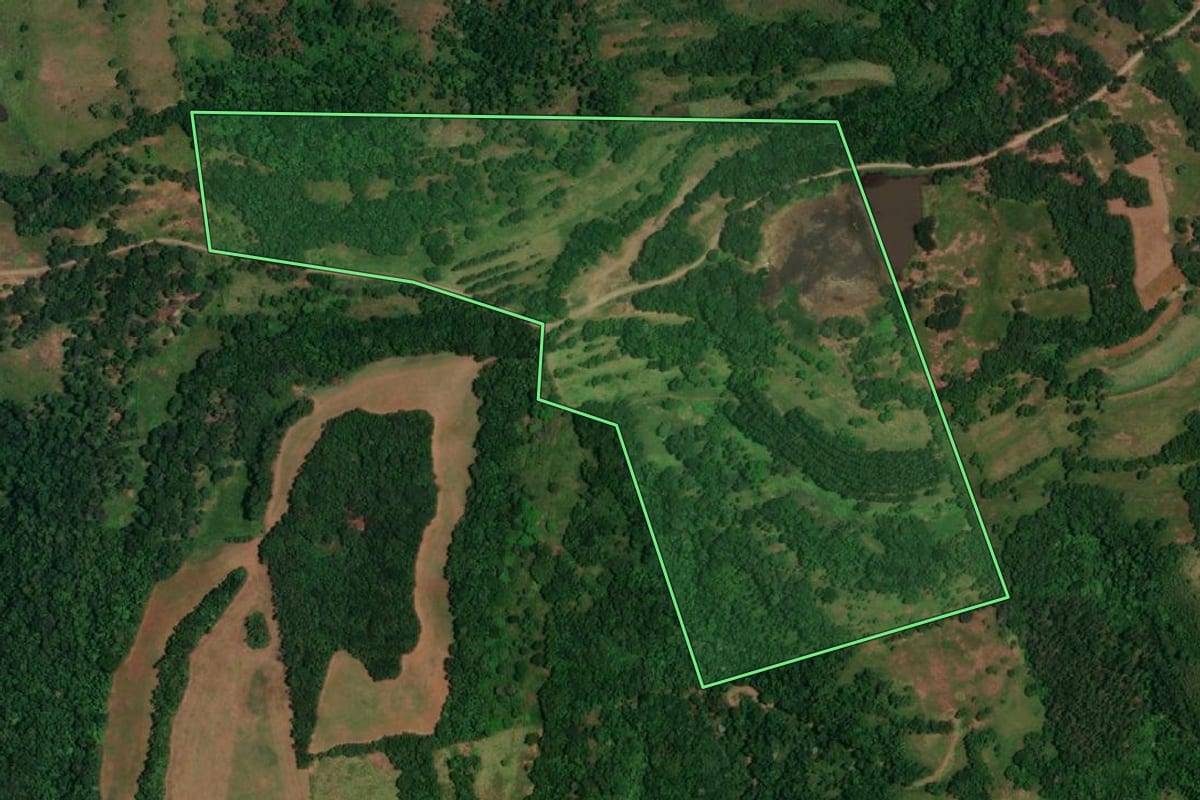 Imagem de satélite do imóvel rural em Alecrim (RS), com o contorno declarado no CAR desenhado por cima.