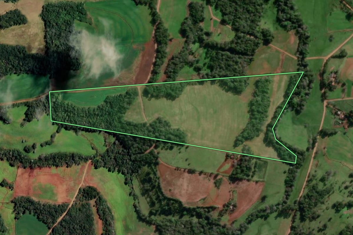 Imagem de satélite do imóvel rural em Alecrim (RS), com o contorno declarado no CAR desenhado por cima.