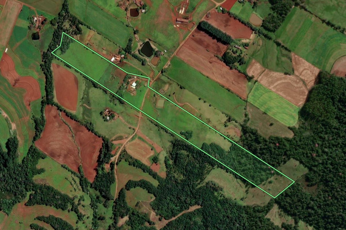 Imagem de satélite do imóvel rural em Alecrim (RS), com o contorno declarado no CAR desenhado por cima.