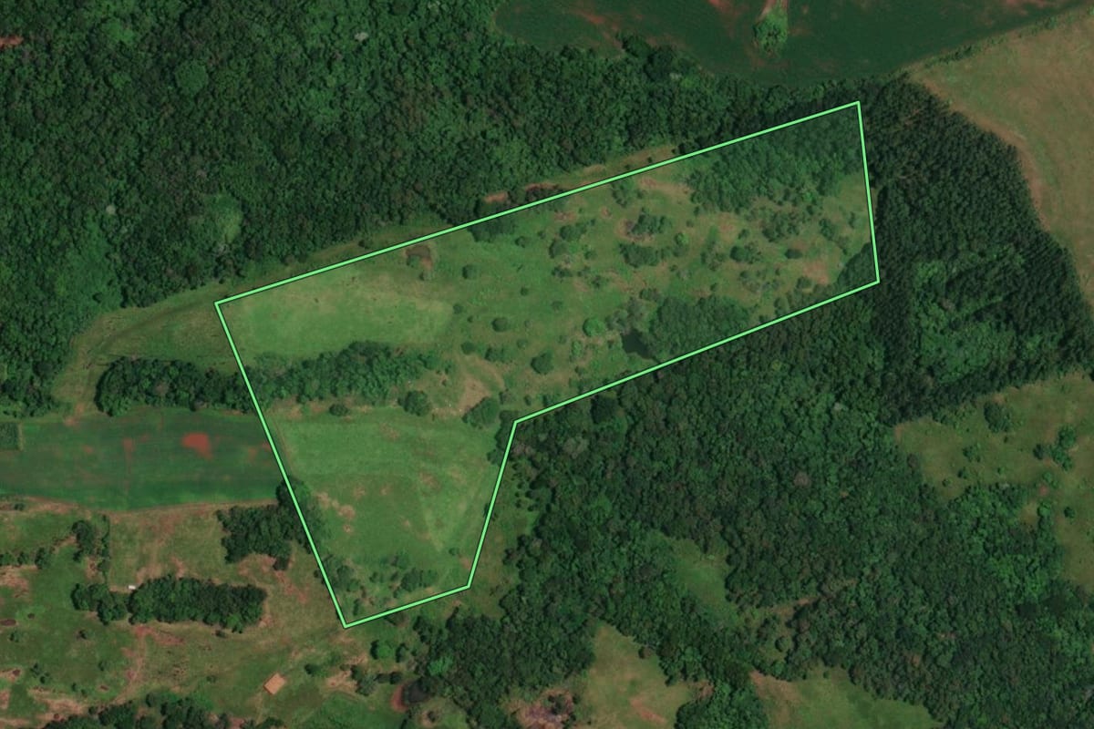 Imagem de satélite do imóvel rural em Alecrim (RS), com o contorno declarado no CAR desenhado por cima.
