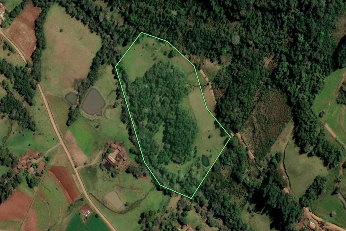 Imagem de satélite do imóvel rural em Alecrim (RS), com o contorno declarado no CAR desenhado por cima.