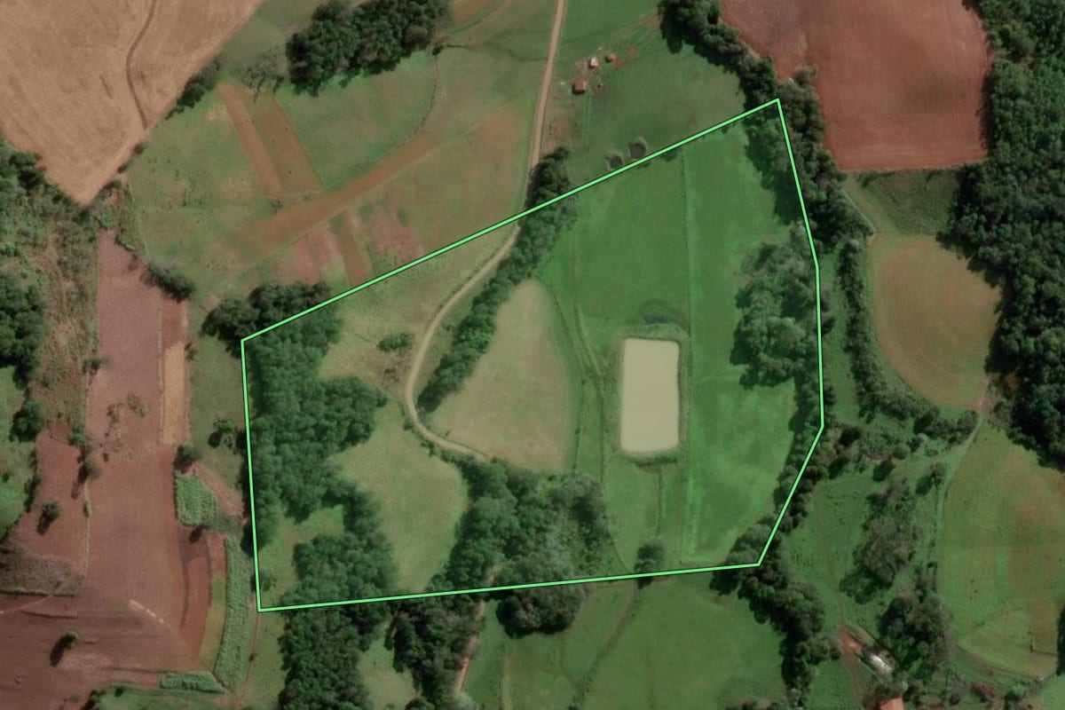 Imagem de satélite do imóvel rural em Alecrim (RS), com o contorno declarado no CAR desenhado por cima.