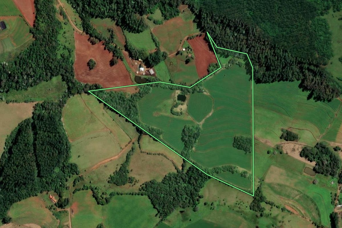 Imagem de satélite do imóvel rural em Alecrim (RS), com o contorno declarado no CAR desenhado por cima.