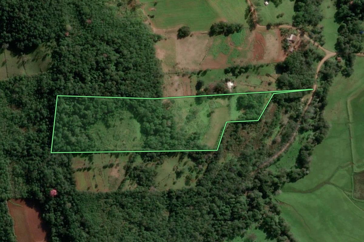 Imagem de satélite do imóvel rural em Alecrim (RS), com o contorno declarado no CAR desenhado por cima.