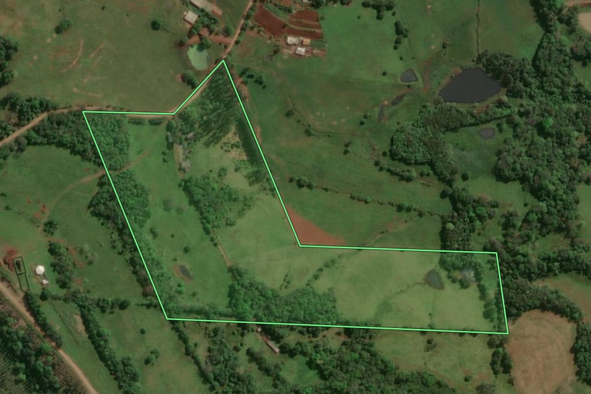 Imagem de satélite do imóvel rural em Alecrim (RS), com o contorno declarado no CAR desenhado por cima.