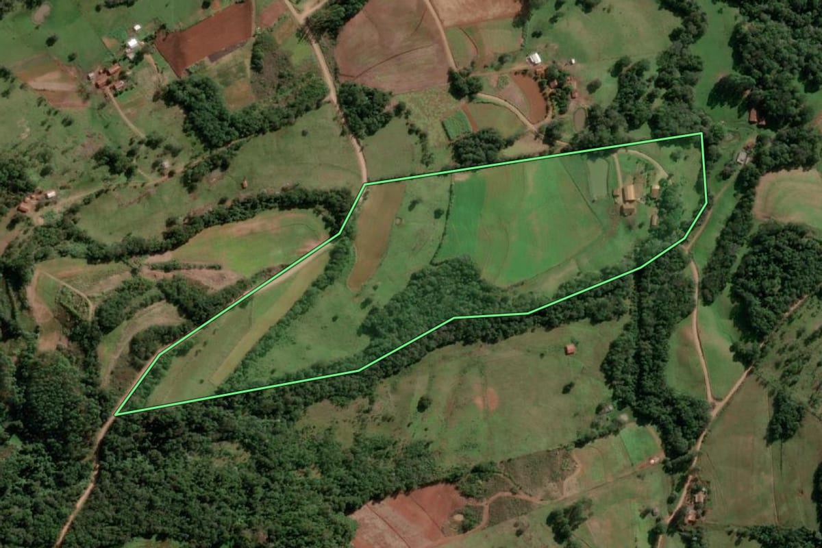Imagem de satélite do imóvel rural em Alecrim (RS), com o contorno declarado no CAR desenhado por cima.