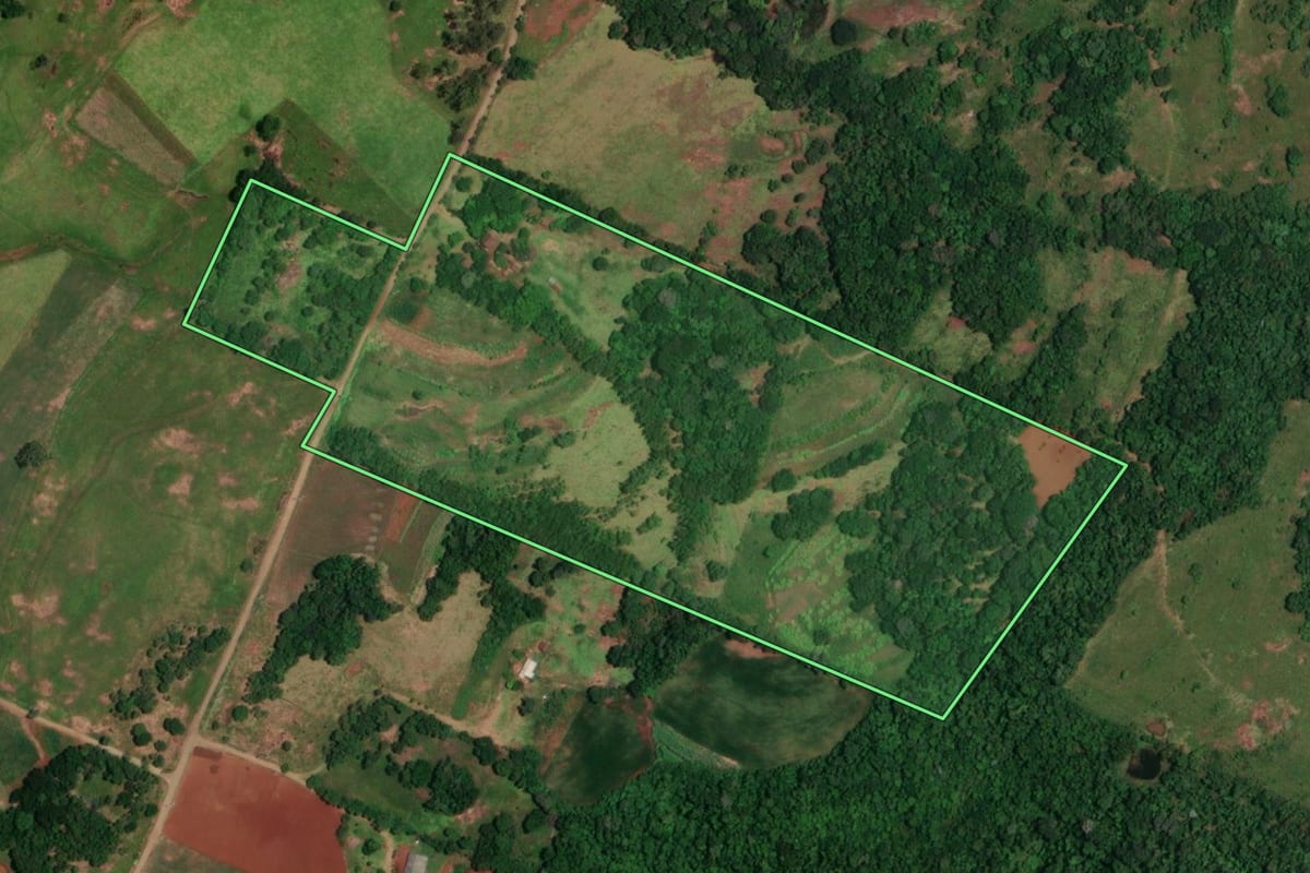 Imagem de satélite do imóvel rural em Alecrim (RS), com o contorno declarado no CAR desenhado por cima.