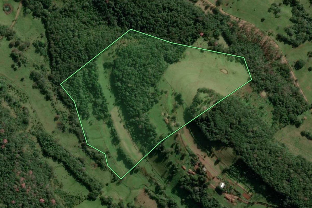 Imagem de satélite do imóvel rural em Alecrim (RS), com o contorno declarado no CAR desenhado por cima.