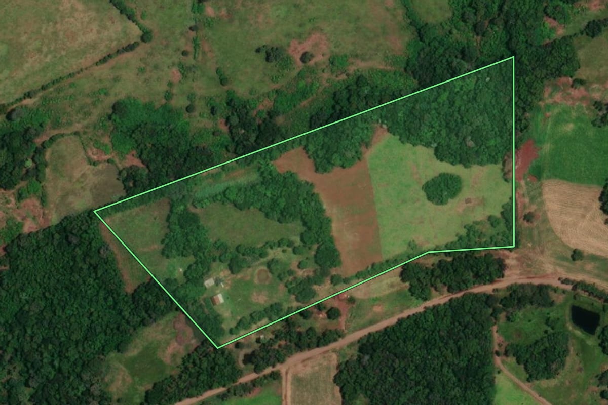 Imagem de satélite do imóvel rural em Alecrim (RS), com o contorno declarado no CAR desenhado por cima.