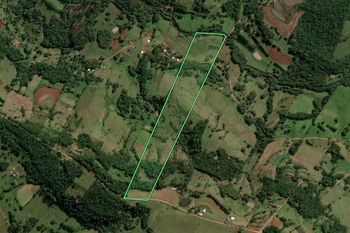 Imagem de satélite do imóvel rural em Alecrim (RS), com o contorno declarado no CAR desenhado por cima.