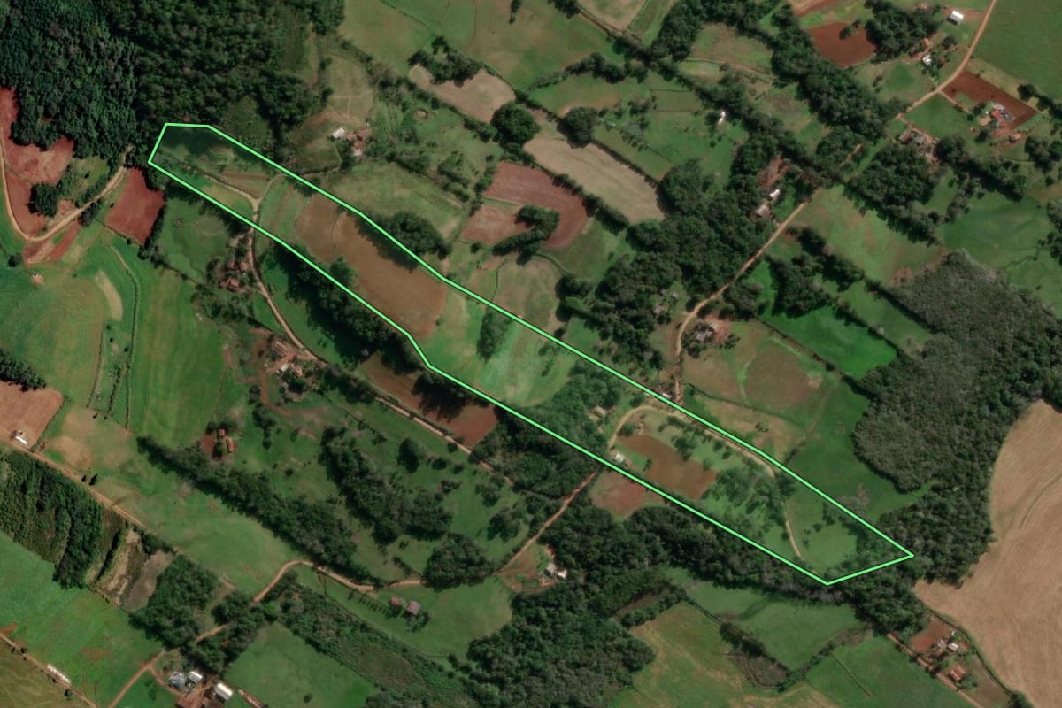 Imagem de satélite do imóvel rural em Alecrim (RS), com o contorno declarado no CAR desenhado por cima.