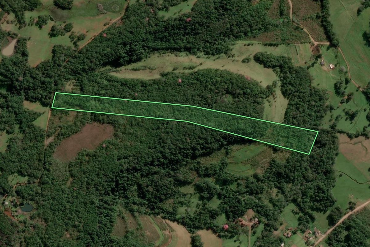 Imagem de satélite do imóvel rural em Alecrim (RS), com o contorno declarado no CAR desenhado por cima.